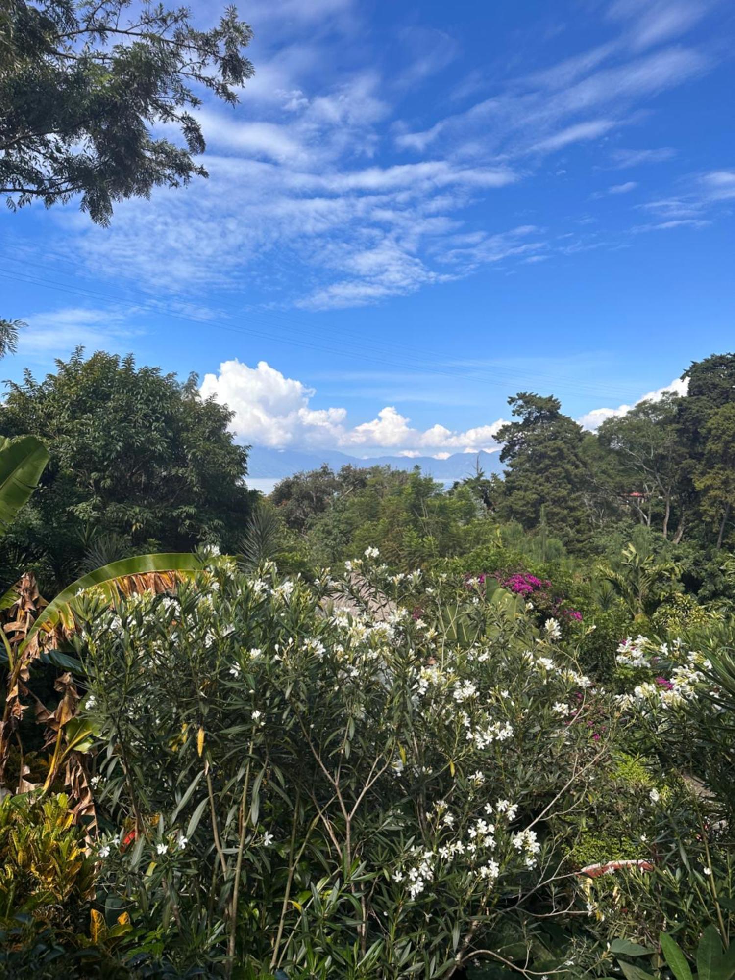 Jenna'S River Bed And Breakfast Jucayná 外观 照片